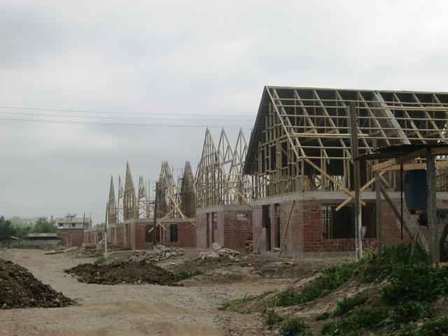 Imagen 006