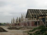 Imagen 006