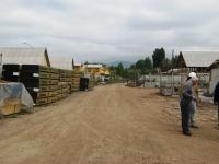 Imagen 066