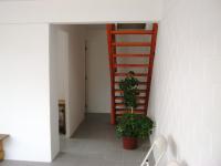 Imagen 031