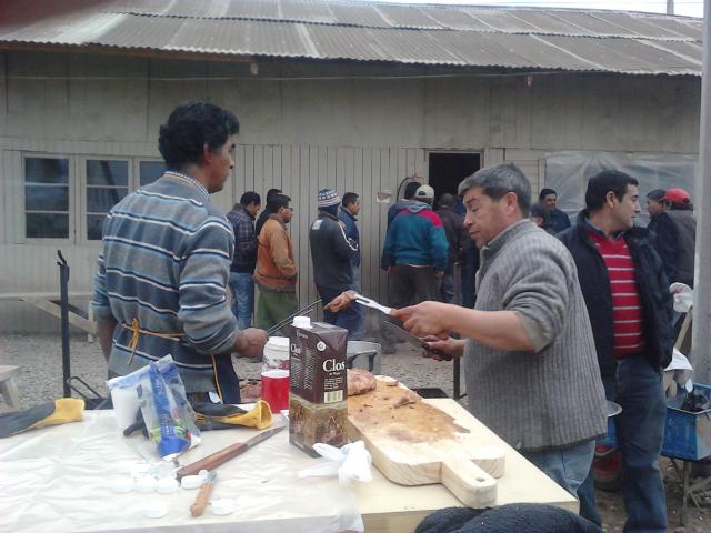 IMG_20120525_134926.jpg