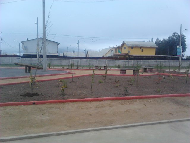 IMG_20120810_112000.jpg