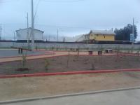 IMG_20120810_112000.jpg