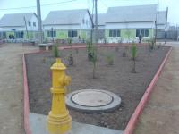 IMG_20120810_113840.jpg