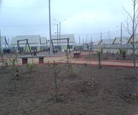 IMG_20120810_120531.jpg