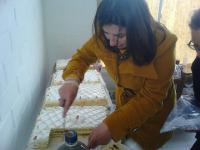 IMG_20120810_133449.jpg